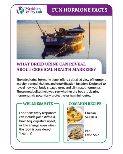 Fun Hormone Facts: Cervical Health Markers