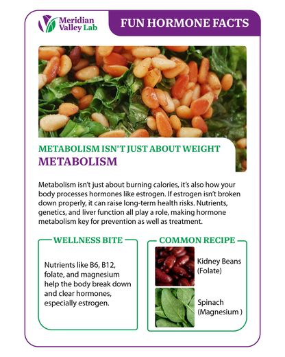 Fun Hormone Facts: Metabolism