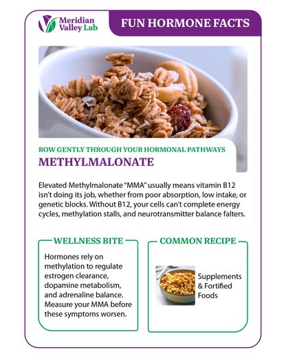 Fun Hormone Facts: Methylmalonate