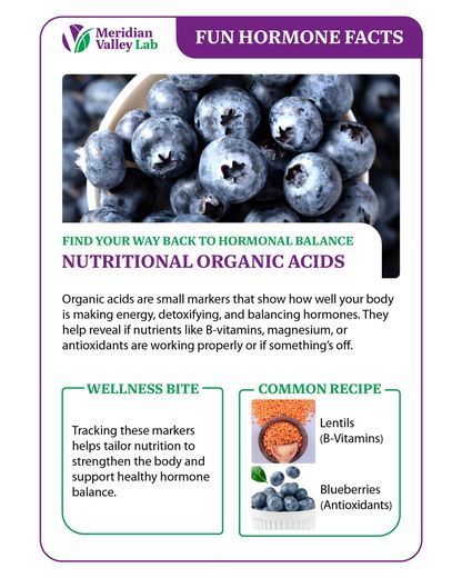 Fun Hormone Facts: Nutritional Organic Acids