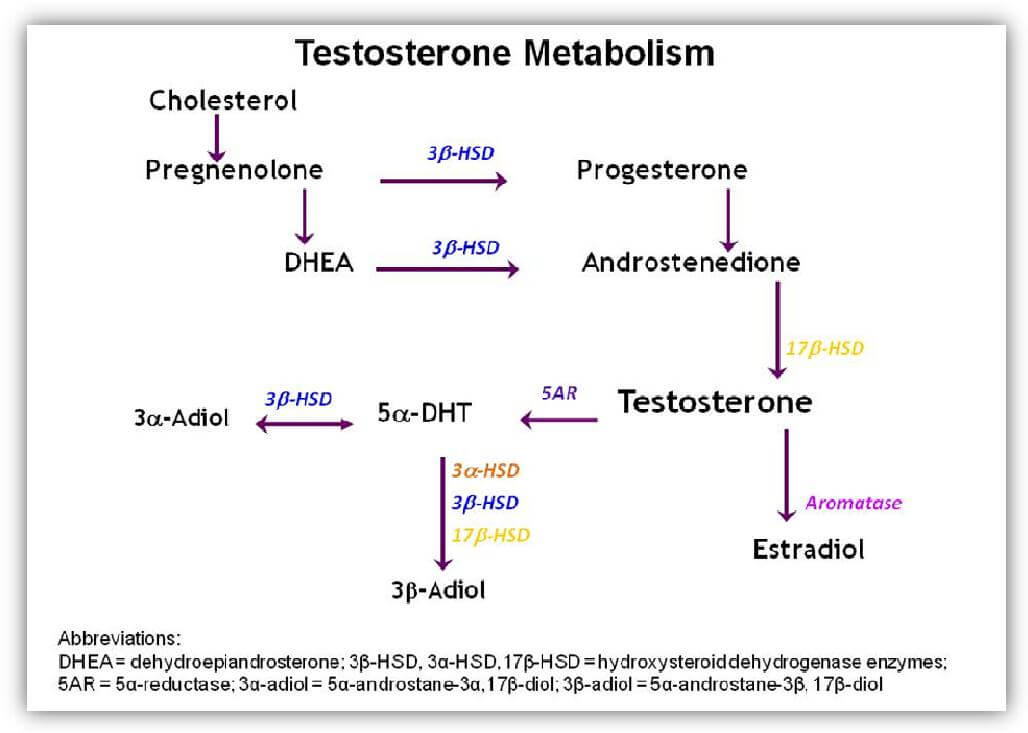 clinical-significance-of-5a-reductase-activity-meridian-valley-lab